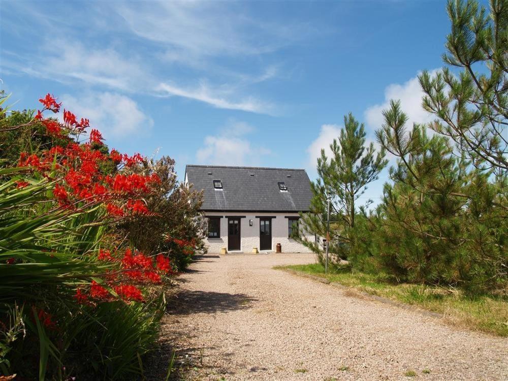 Cockshead Cottage Saint Dogmaels Dış mekan fotoğraf